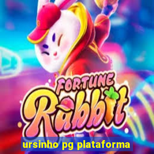 ursinho pg plataforma