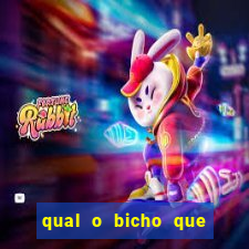 qual o bicho que vai dar hoje