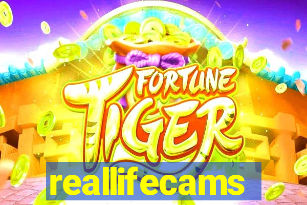 reallifecams